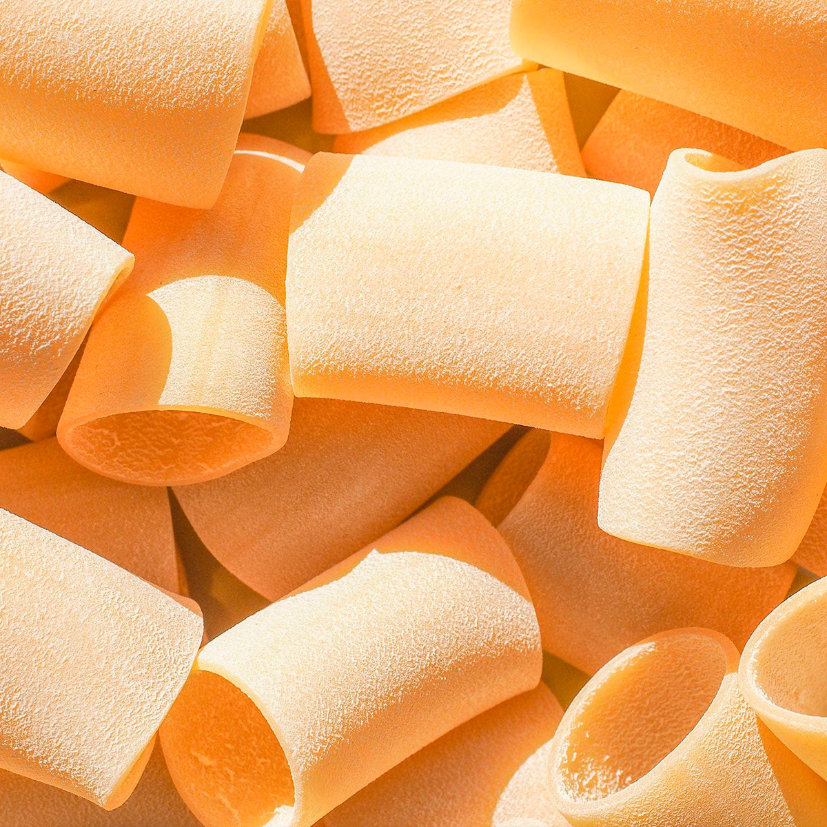Premium Pasta Selection
