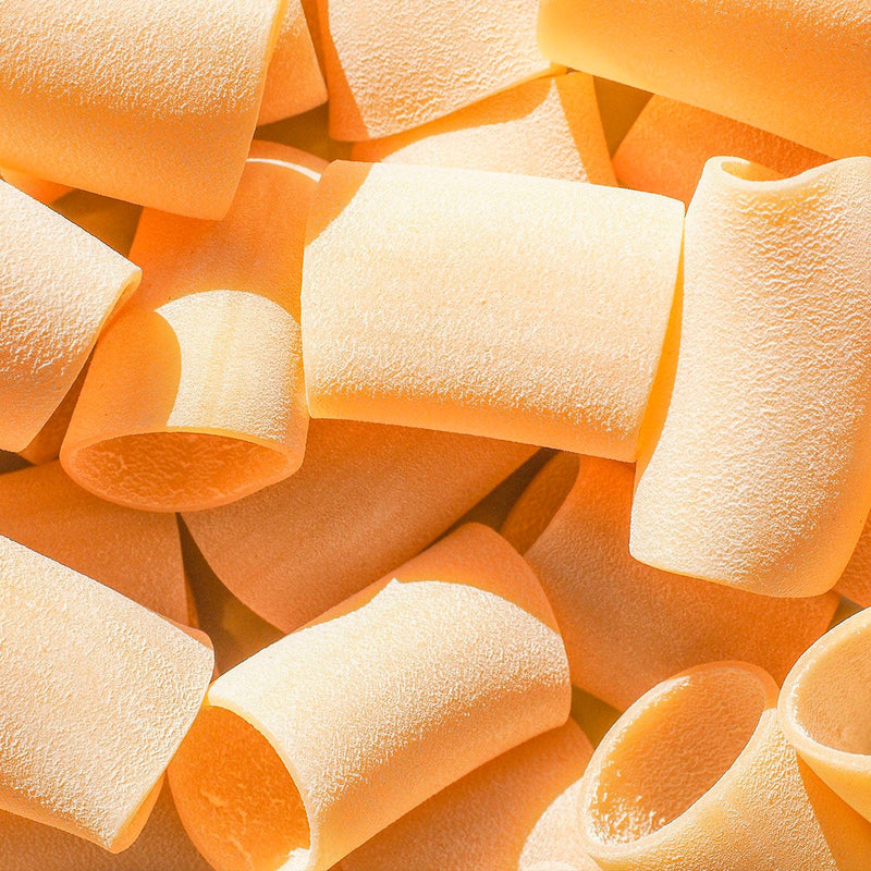 Premium Pasta Selection