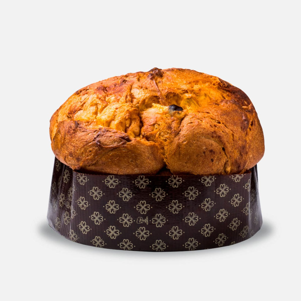 Penna Bakery - White Chocolate and Amarena Cherry Panettone