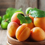 Veneziana Albicocca e Spezie - Apricot & Spices Veneziana in Tin Gift Box