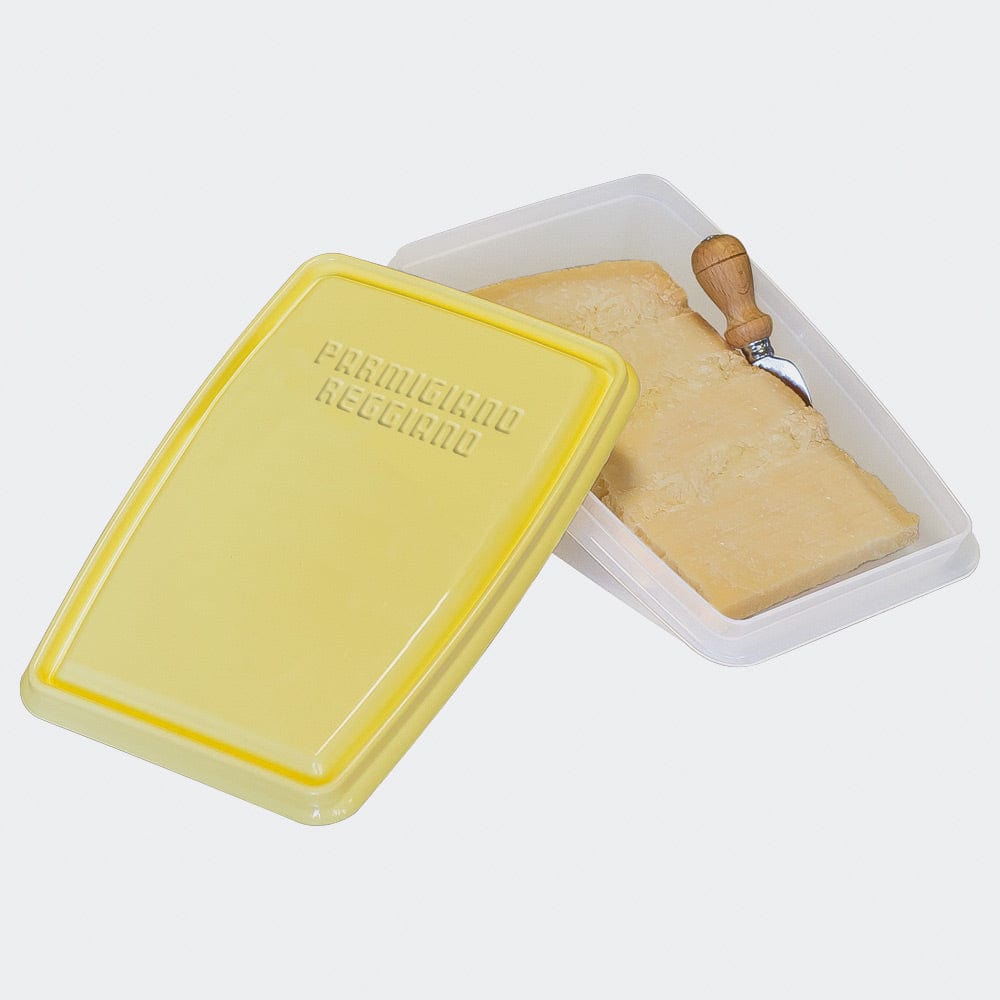 Airtight plastic Parmigiano Reggiano cheese storage container with lid